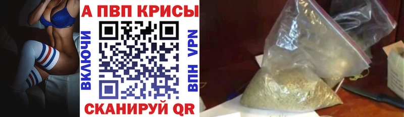 Alfa_PVP СК  что такое   Елизаветинская 
