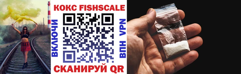 COCAIN Fish Scale  Елизаветинская 