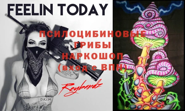 прущая мука Нея
