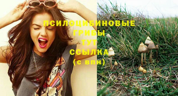 СК Абаза