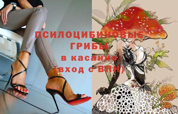 прущая мука Нея